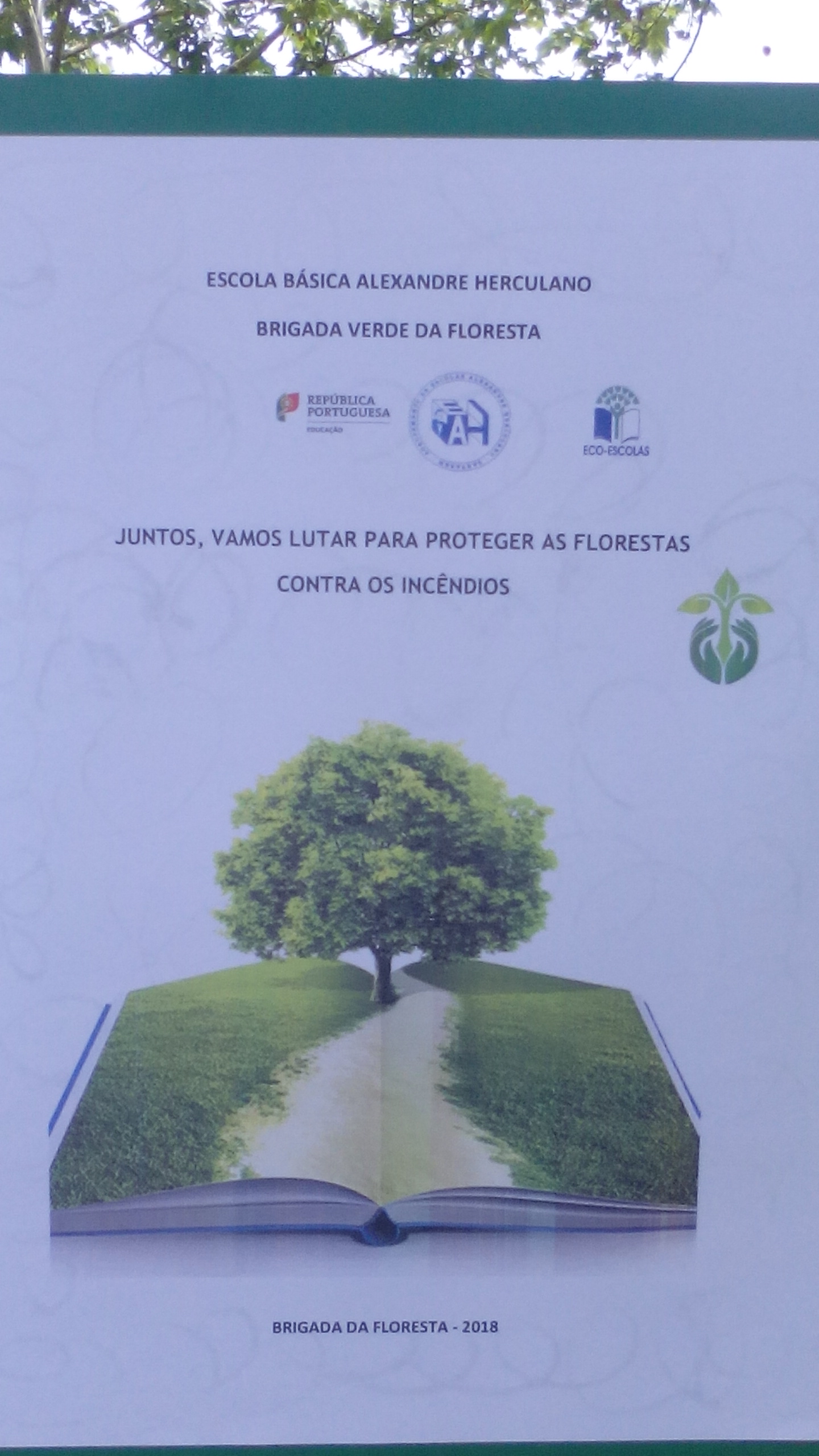 Foto3- A campanha da Brigada Verde da Floresta, lutando pela proteção da Floresta à porta da Escola sede do Agrupamento de Escolas Alexandre Herculano.