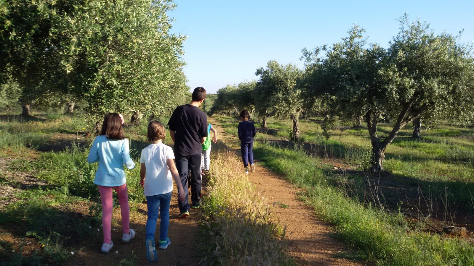 Entre olivais e com a família