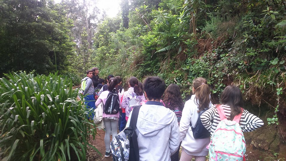 Caminhada pela Levada do Rei, com os Guardiões da Laurissilva e os alunos do 3º e 4º anos da EB1/PE com Creche de Santo António da Serra